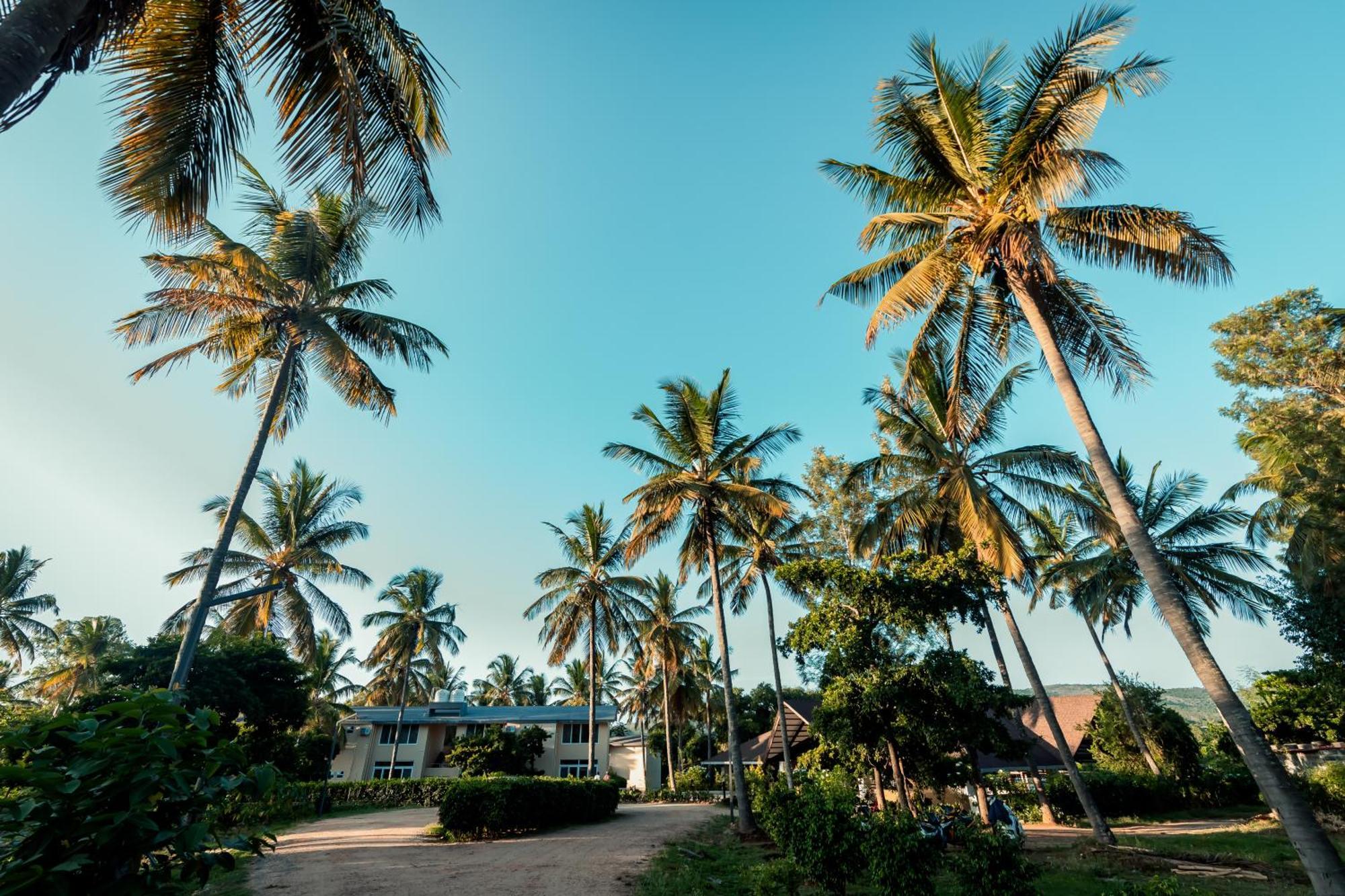 Chikmagalūr Commune18 Spa Resorts מראה חיצוני תמונה